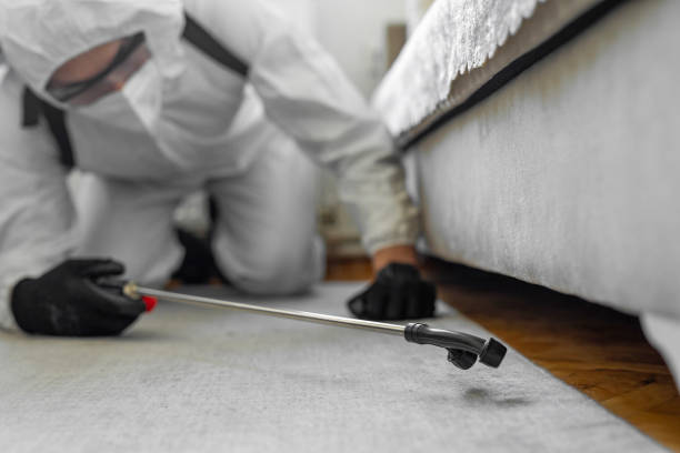 Professional Bed Bug Control technician working in North Lakeport, CA