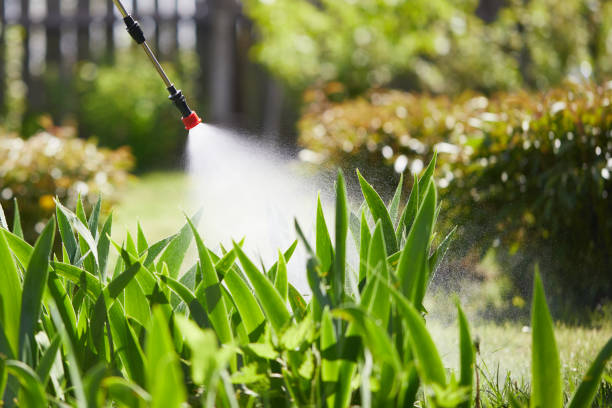 24/7 Emergency Bed Bug Control experts in North Lakeport, CA