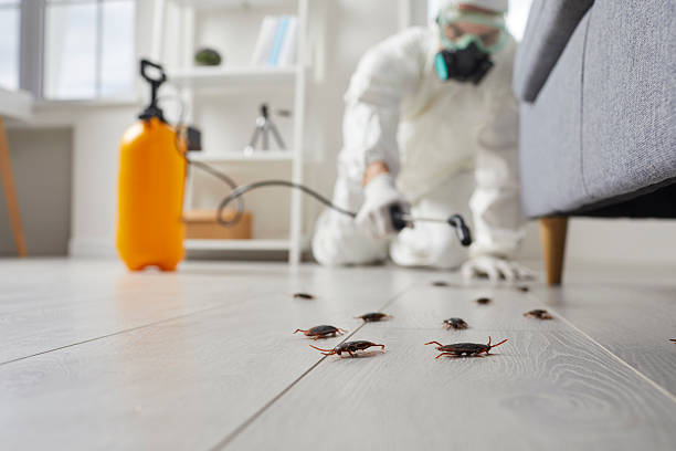 Trusted Bed Bug Control service in North Lakeport, CA - Nex Pest Control